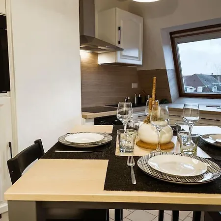 Apartment Lumineux Avec Vue Sur Les Vosges